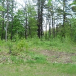 Connors Way Lot 6 - .53 acres